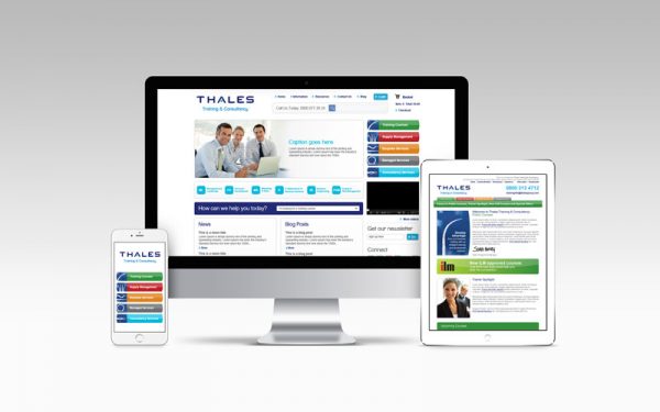 SEO services, content marketing & social support for Thales Training & Consultancy